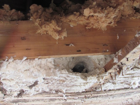 "I'm not putting my hand in there!  YOU put your hand in there!"