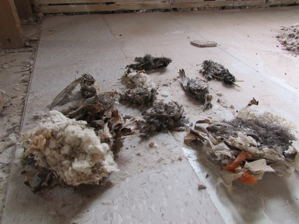 Here.  Here they are.