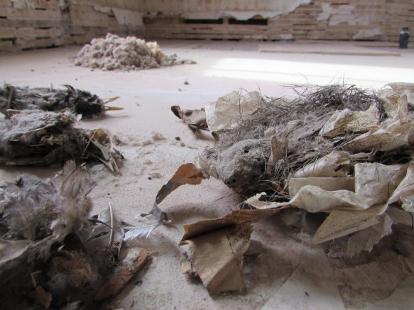 sorry you had to see that