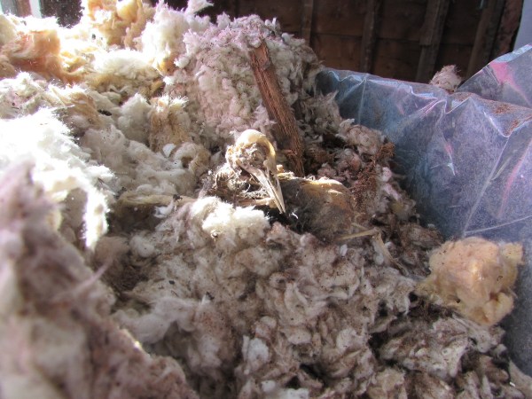 "Don't close your eyes"