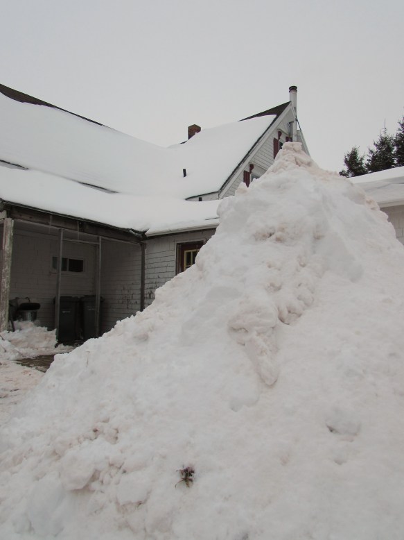 I call it "Mount Russmore"