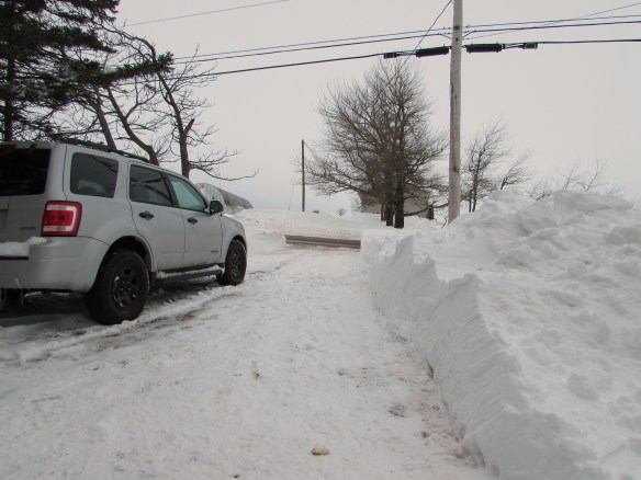 There was grass here last week