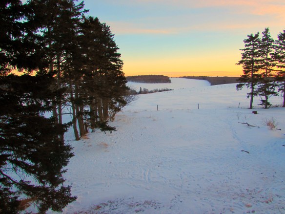The view from our Bathroom window