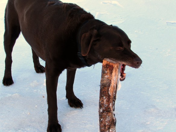 I have no idea where it's all going....