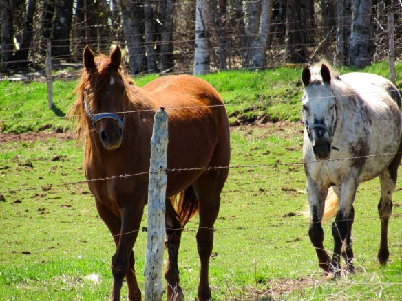 Under the watchful supervision of Jill and James